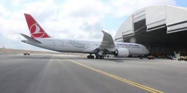 thy-1