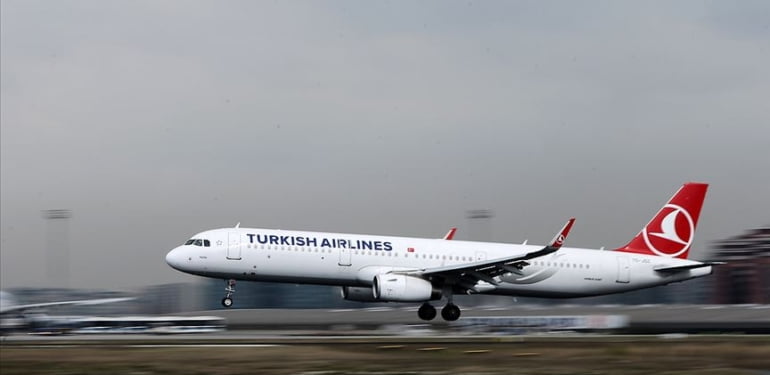 thy-1