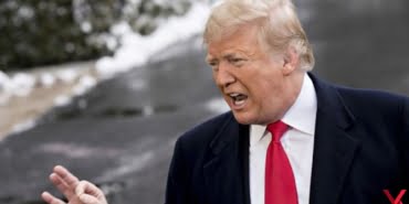 trump-7