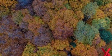 uludagda-sonbaharin-son-demleri_6024_dhaphoto4