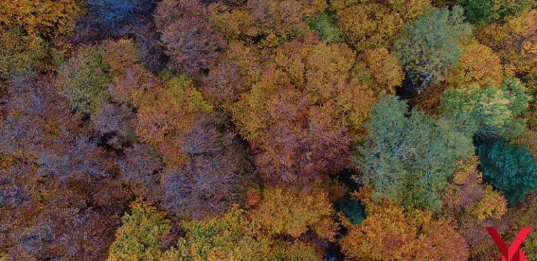 Uludağ’da sonbaharın son demleri