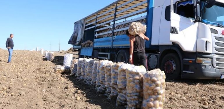 Üretici umudunu tanzim satışa bağladı