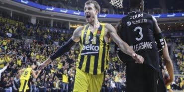 vesely
