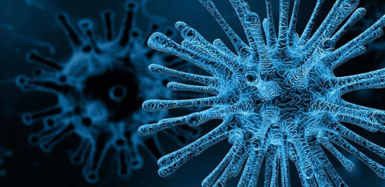 virus