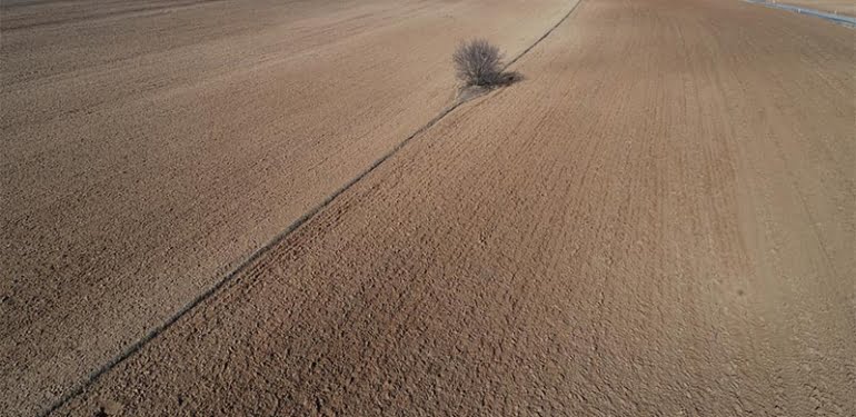 Yağışların yüzde 50 azaldığı Trakya’da, çiftçilerin kuraklık endişesi
