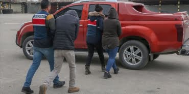 yak