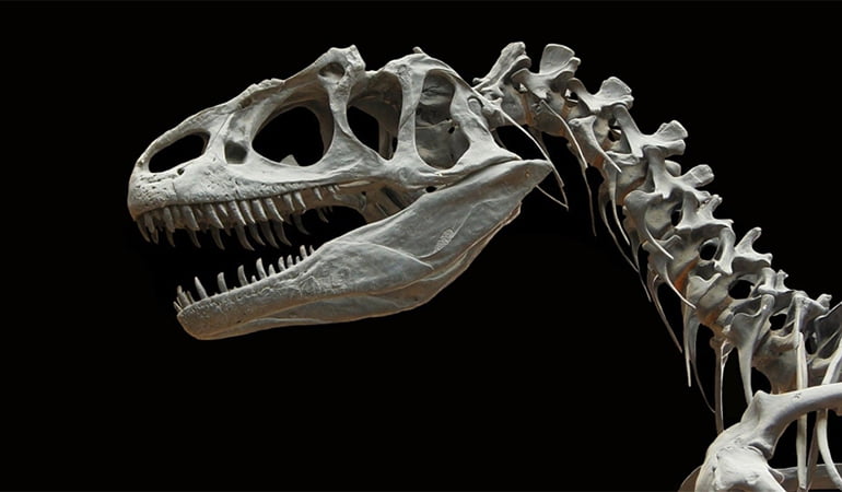 Dinozorları yok eden meteor Dünya’ya ne zaman çarptı?