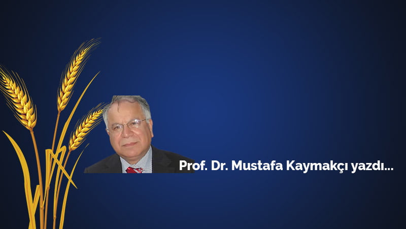 mustafakaymakcikapak