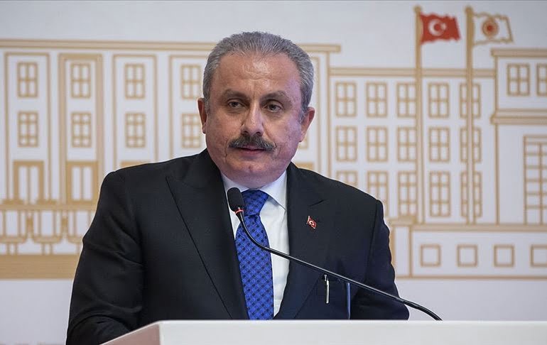 Şentop: Göç sorununun başlangıç aşamalarındayız