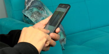 telefon