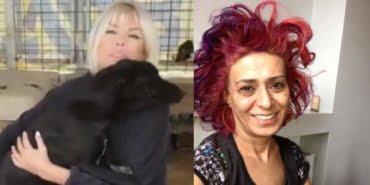 ajda1