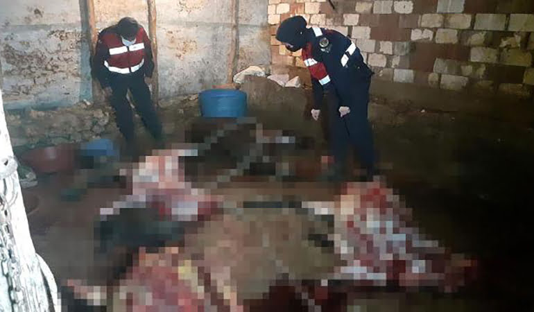 At ve eşek kesen 5 kişi suçüstü yakalandı