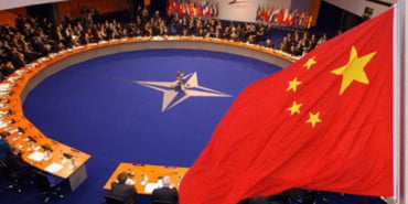 cib-nato