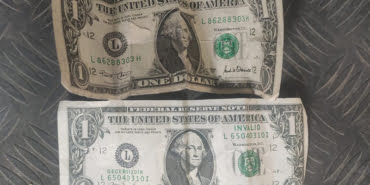 feto-dolar