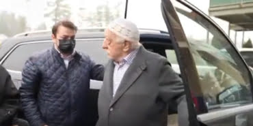 gulen