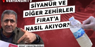 sedat cezayiroğlusiyanür
