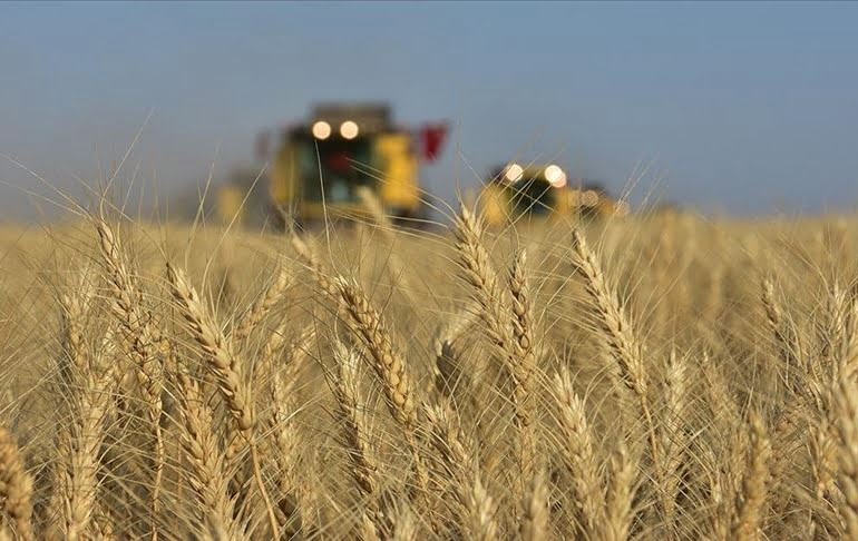 Hindistan’dan buğday ithalatı yapıldı mı?