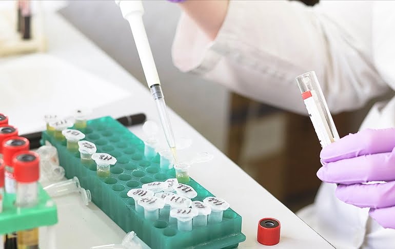 Avrupa’da kaç maymun çiçeği vakası görüldü?