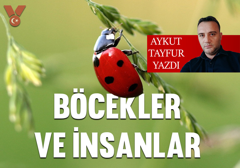 Böcekler ve insanlar