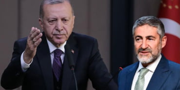 erdogan-nebati
