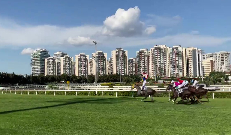 96’ncı Gazi Koşusu’nun galibi belli oldu