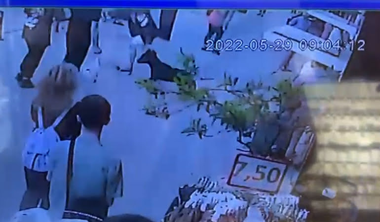 Köpeği araçların önüne atan kişiye dayak