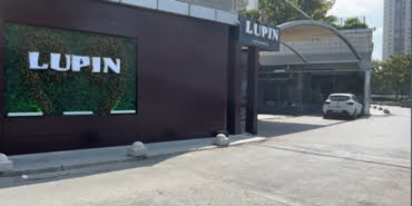 lupin