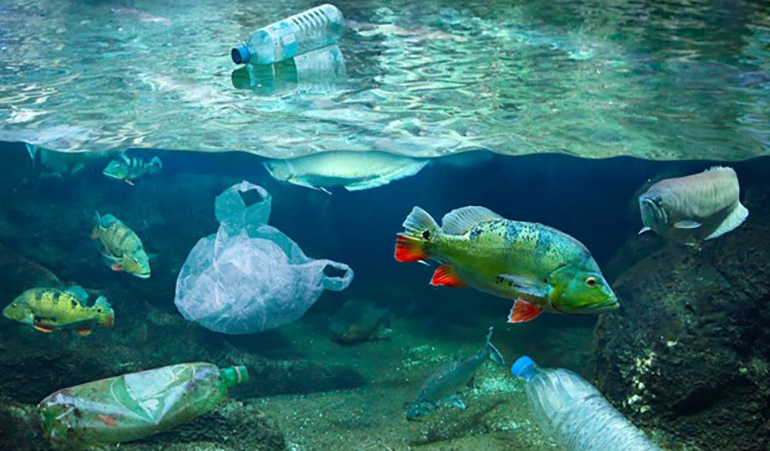 Mikroplastik yiyen robot balık