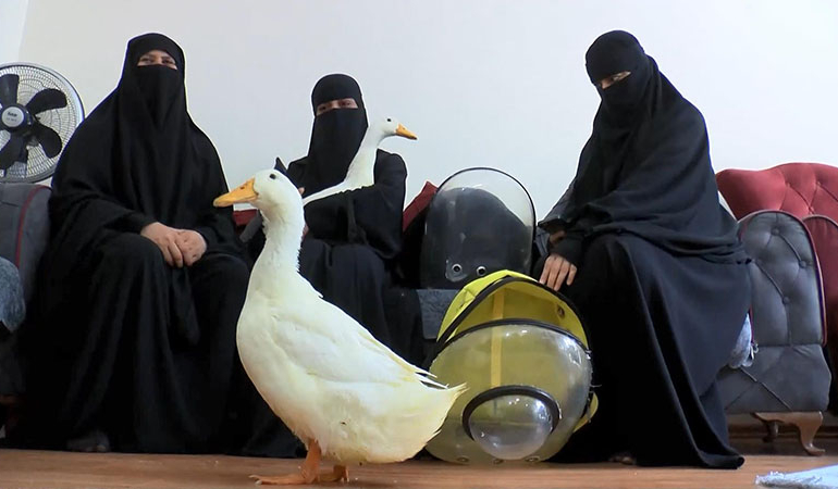 Göletteki ördekleri çaldığı iddia edilen kadın konuştu