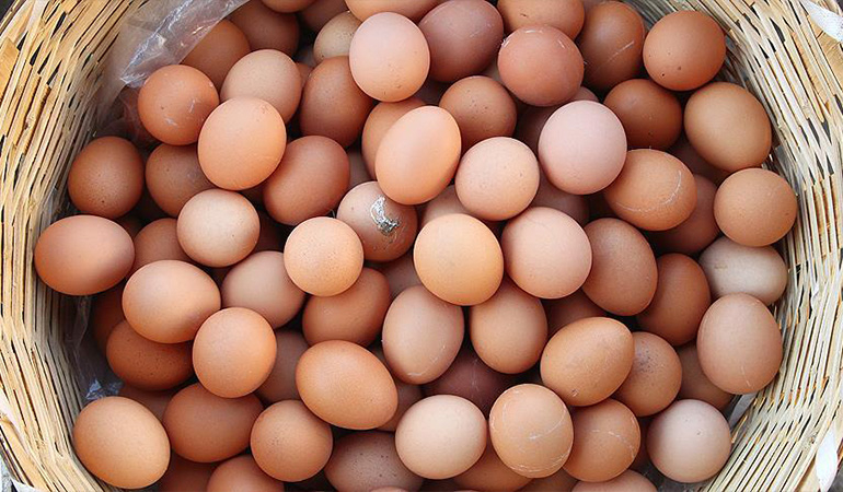 Yüzde 100’ün üzerinde zarar… ‘Yumurta üretimi durma noktasında’