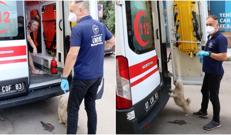 Köpek, yangından kurtarılan sahibini yalnız bırakmadı