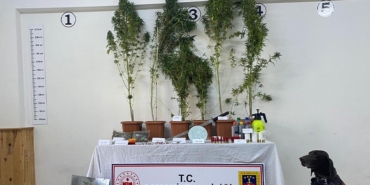 Başlıksız-1