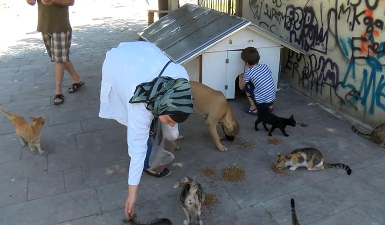 ‘Sokakta kedi besledikleri için darbedildiler’