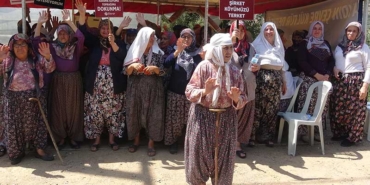 aydın1