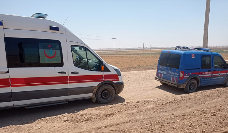 Boş arazide parçalanmış ceset bulundu