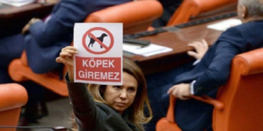 gokcen