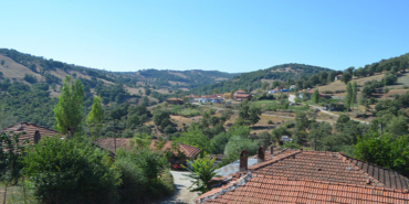 mahalle