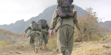 pkk1