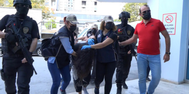 bursa