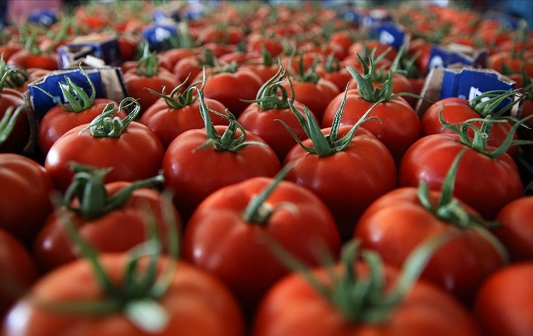 Domates ve salça ihracatı kısıtlandı mı?
