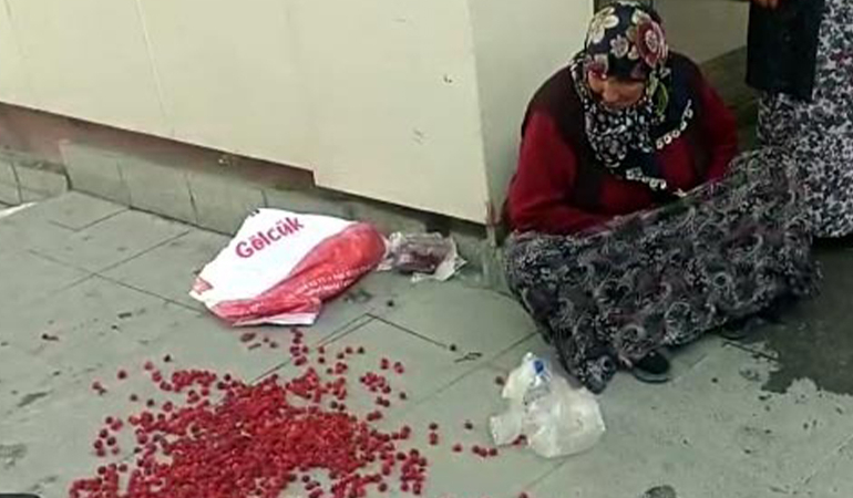 Zabıta işlem yaparken, meyveleri dökülünce gözyaşlarını tutamadı