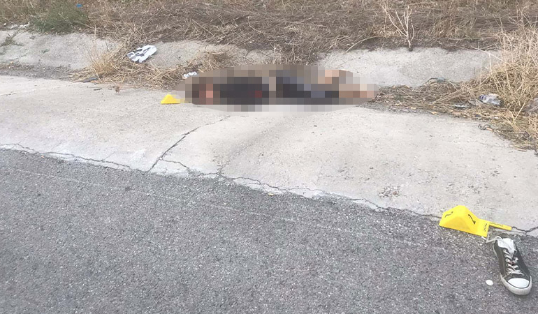 Yol kenarında kadın cesedi bulundu