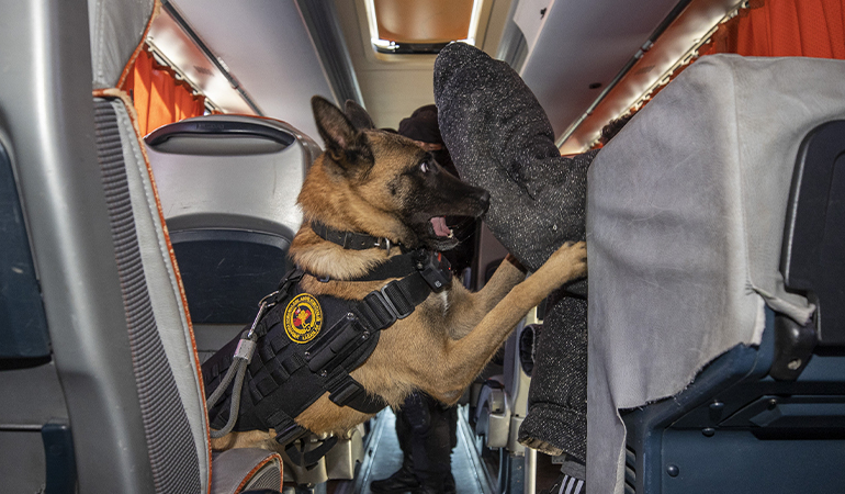 Jandarma köpeğinin ‘gözünden’ rehine kurtarma operasyonu