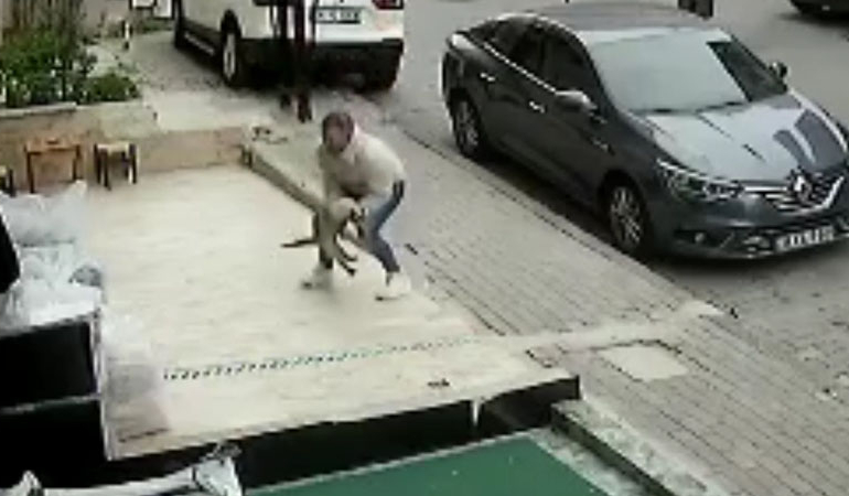 3. kattan düşen kediyi havada yakaladı