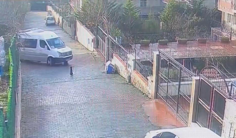 Göz göre göre köpeği ezip yola devam etti