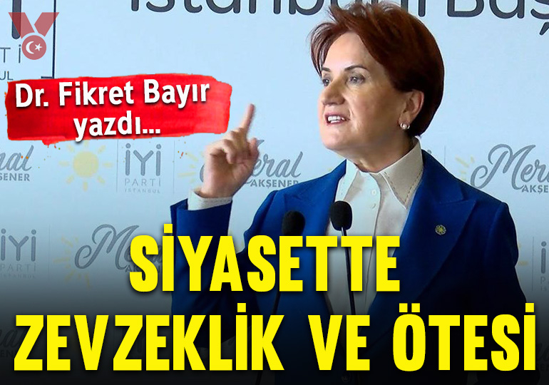 Siyasette zevzeklik ve ötesi