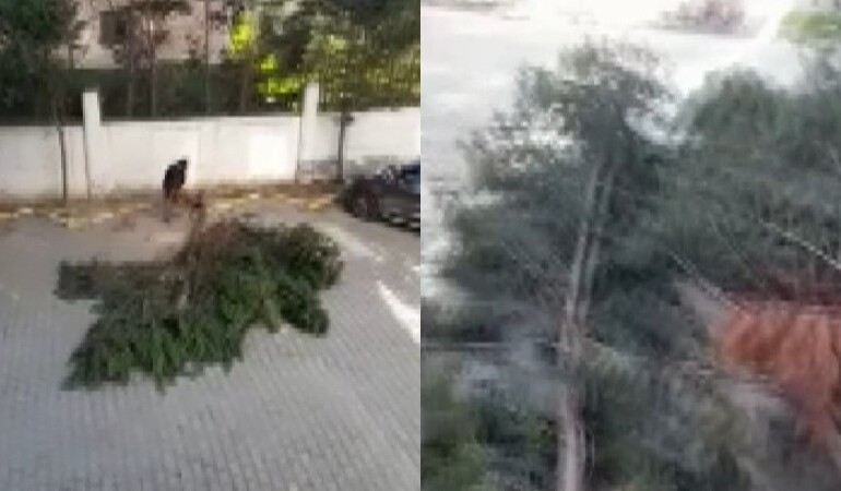 ‘İstifa’ sesleri yükselen sitede yeni kriz… ‘İntikam mı alıyorsunuz?’