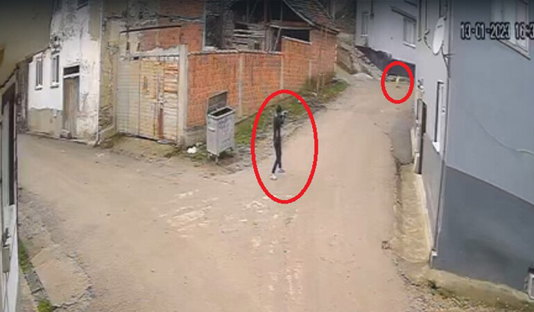 Kovaladığı köpeği tüfekle öldürdü