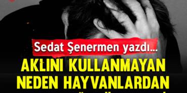 şenermen-kapak