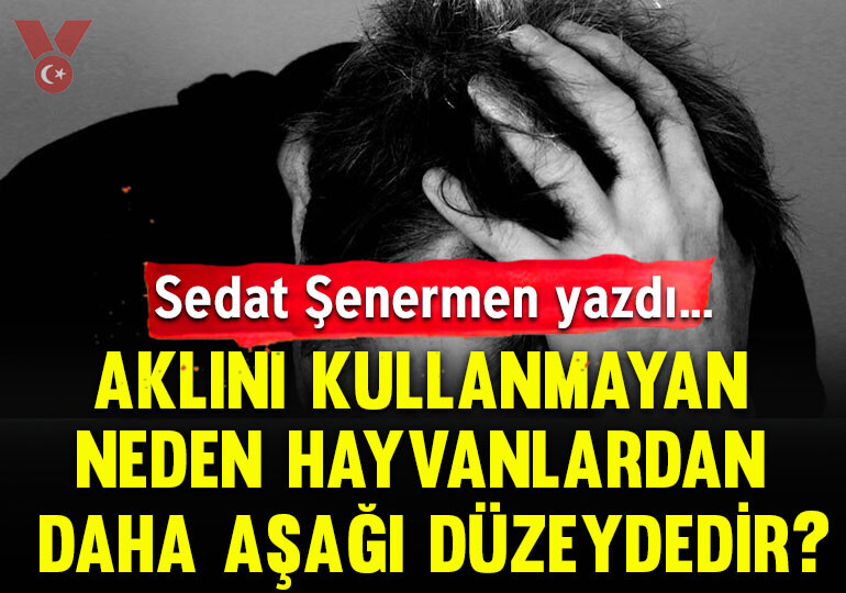 Aklını kullanmayan neden hayvandan daha aşağı düzeydedir?